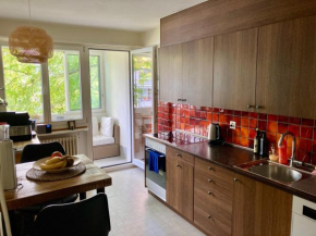 Altbau near St Alban Tal